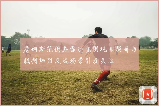 詹姆斯范德彪雷迪克围观东契奇与裁判热烈交流场景引发关注
