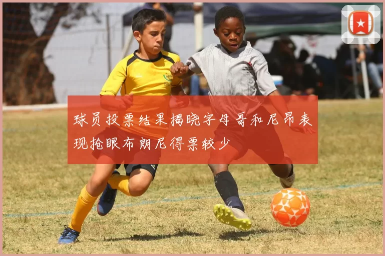 球员投票结果揭晓字母哥和尼昂表现抢眼布朗尼得票较少