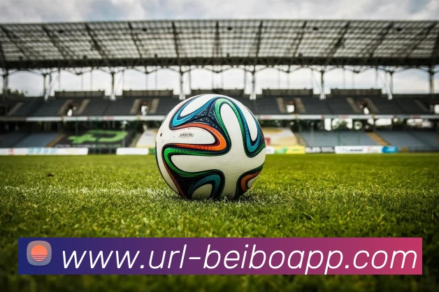 贝博体育APP 封面图